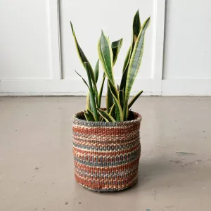 Desert Constellation Plant Basket