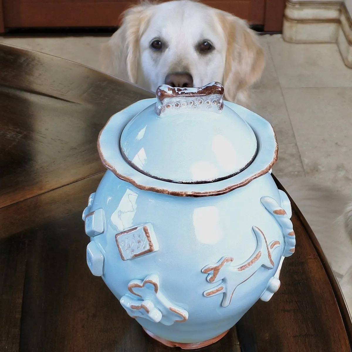 Dog Treat Jar Baby Blue