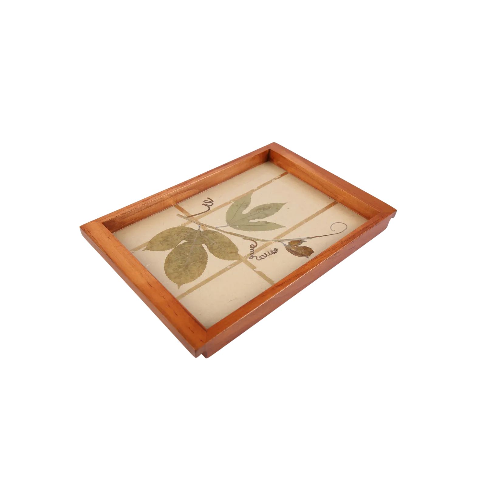 Passiflora Tray