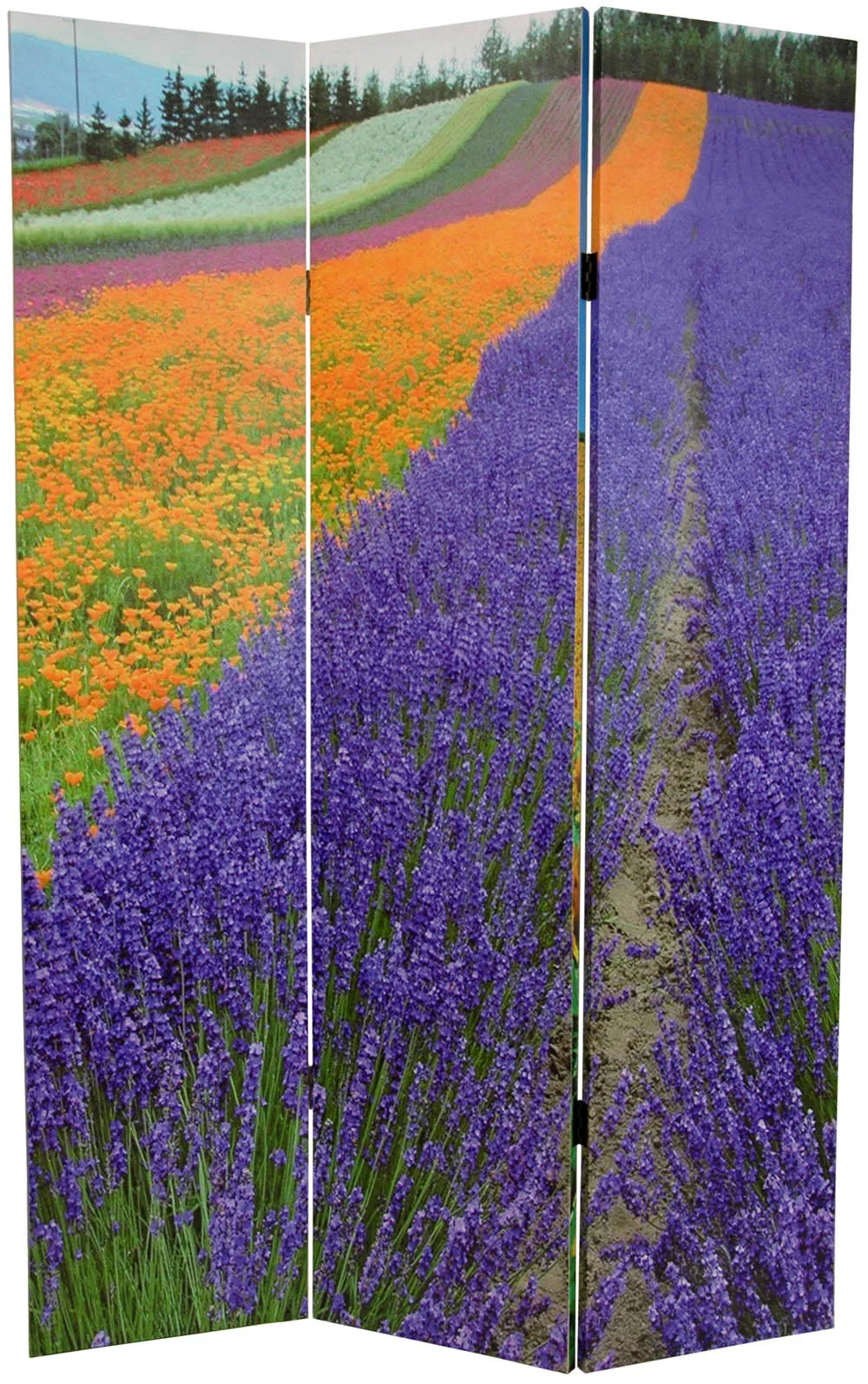 Summer Fields Art Print Screen (Canvas/Double Sided)